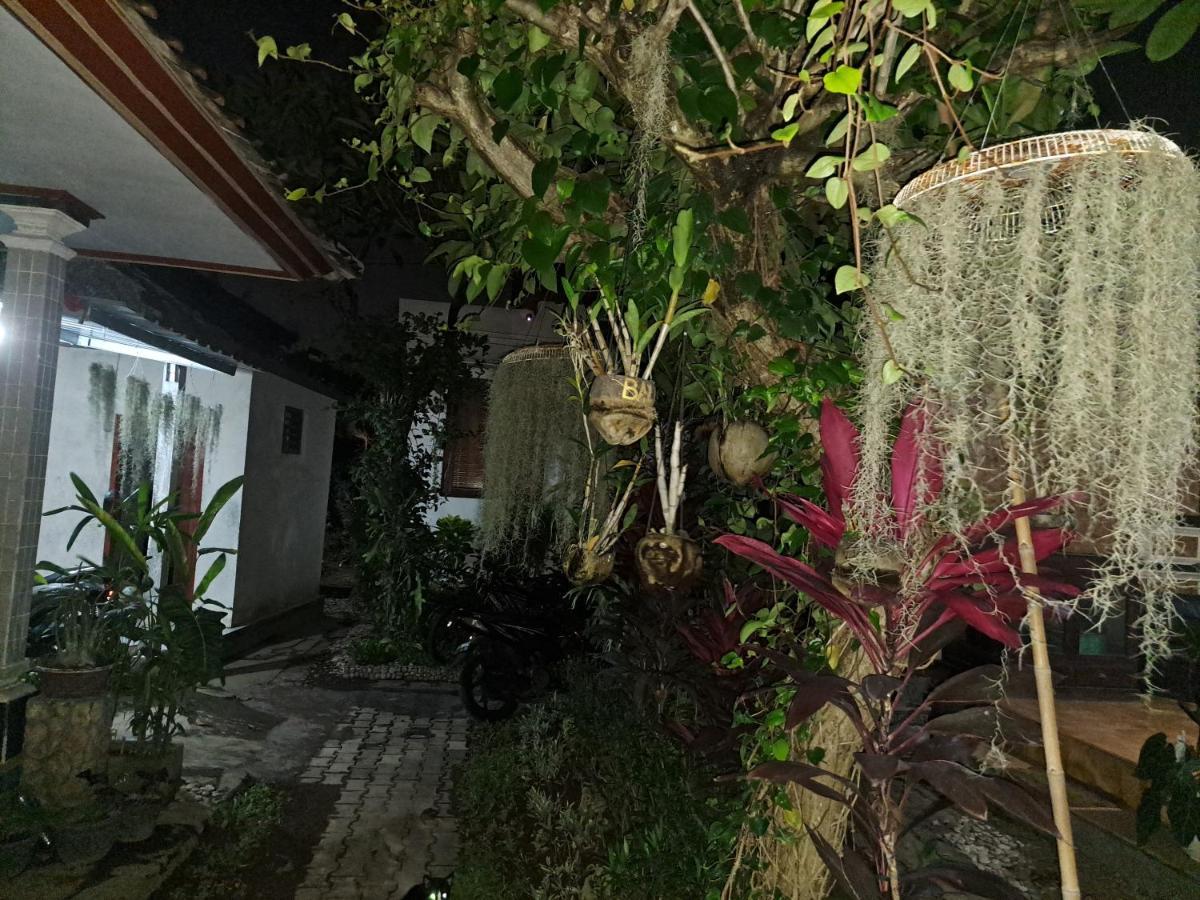 Ascarya Guest House Sanur Eksteriør bilde
