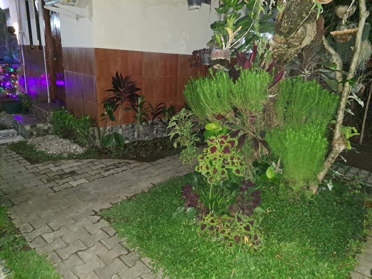 Ascarya Guest House Sanur Eksteriør bilde