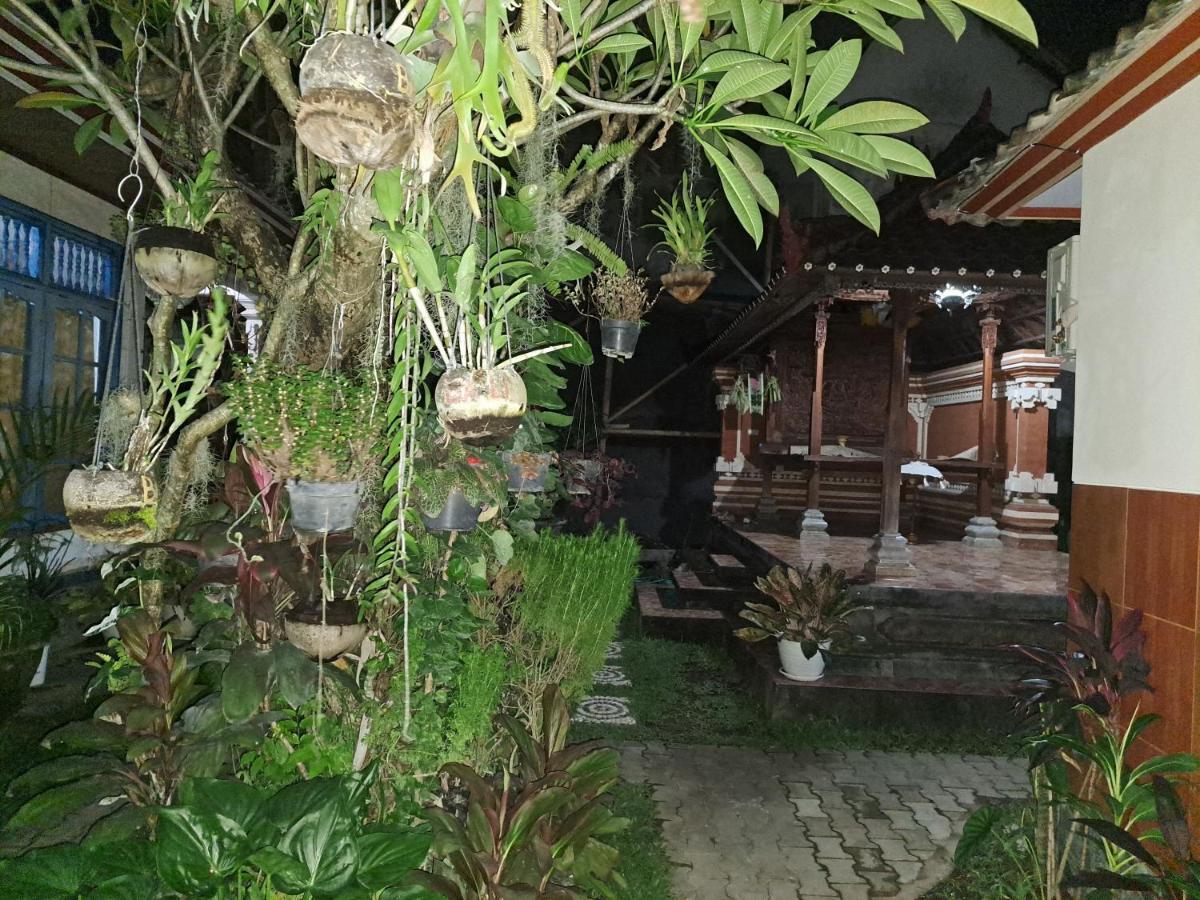 Ascarya Guest House Sanur Eksteriør bilde